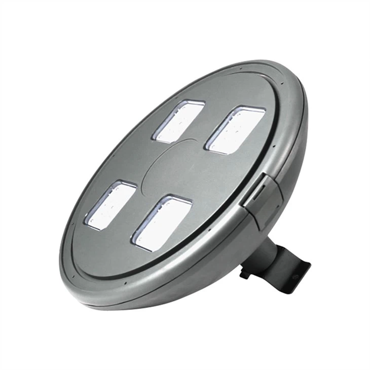 Landscape Pathway Lighting